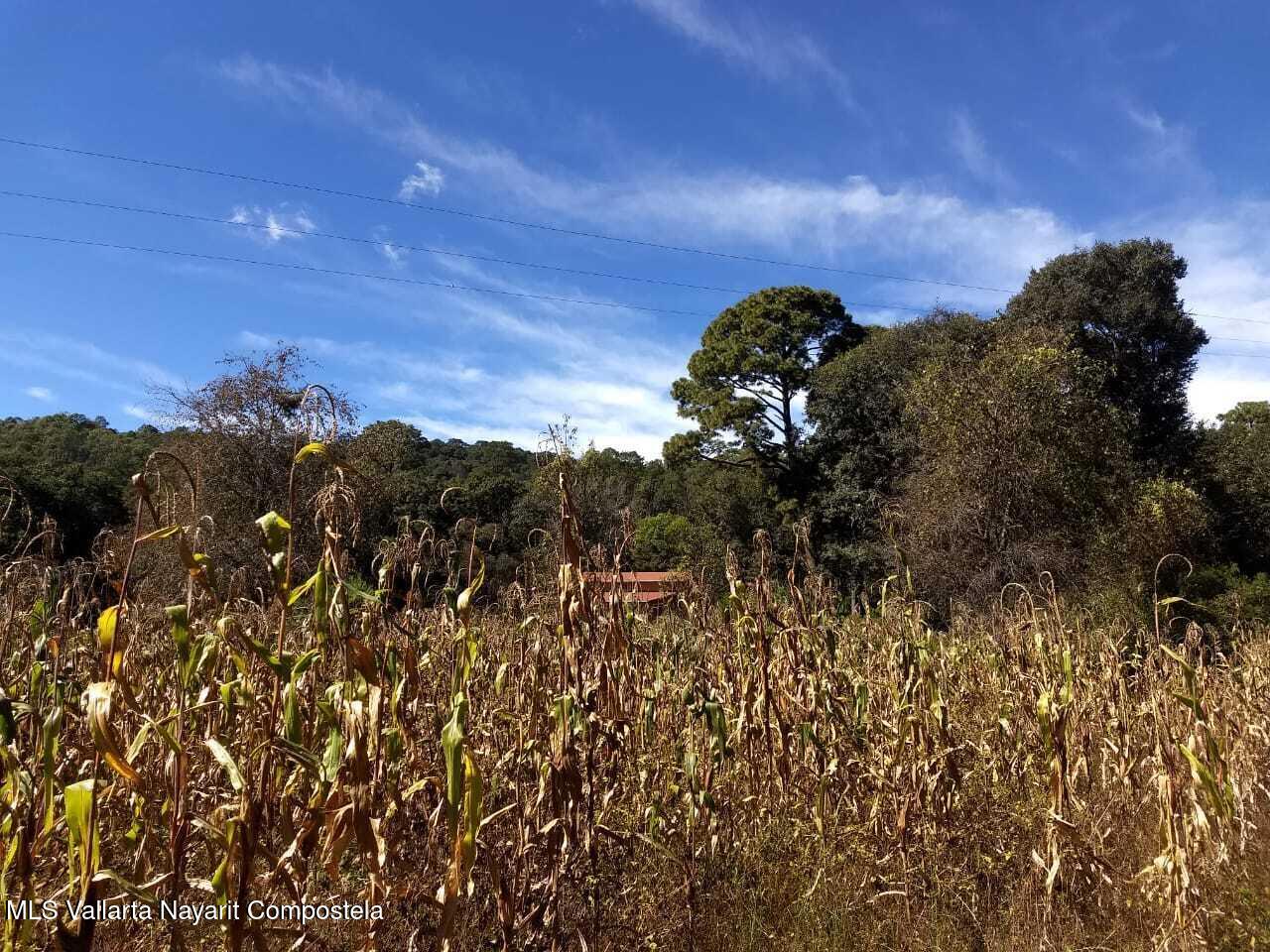 Lote Navidad – 1 Hectare land for sale in Navidad Jalisco